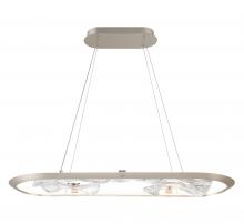  10177-031 - Nettuno, Small Oval LED Chandelier, Metallic Brushed Champagne