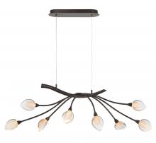  12233-043 - Modena, 8 Light Oval LED Chandelier, 
Black with Gold Accent