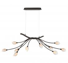  12234-043 - Modena, 10 Light Oval LED Chandelier,
 Black with Gold Accent