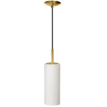  83202-AGB-WH - 1 Light Incandescent Pendant, Aged Brass with White Glass