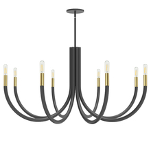  WAN-388C-MB-AGB - 8 Light Incandescent Chandelier, Matte Black and Aged Brass