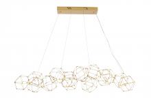  BE33C66G - LED Chandelier Stainless Steel