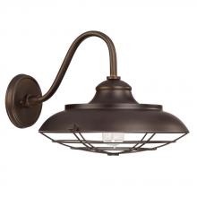  4562BB - 1 Light Outdoor Wall Lantern