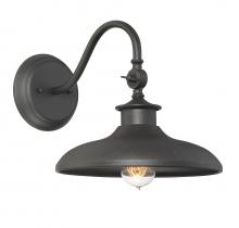  5-9584-BK - Raleigh 1-Light Outdoor Wall Lantern in Black