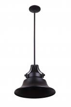  Z4401-MN - Union 1 Light Small Outdoor Pendant in Midnight