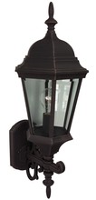  Z250-RT - Straight Glass Cast 1 Light Medium Outdoor Wall Mount in Rust