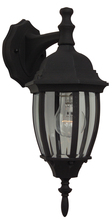  Z264-TB - Bent Glass 1 Light Small Outdoor Wall Lantern in Textured Black