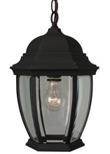  Z281-TB - Bent Glass Cast 1 Light Outdoor Pendant in Textured Black