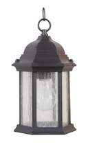  Z291-TB-CS - Hex Style Cast 1 Light Outdoor Pendant in Textured Black (Clear Seeded Glass)