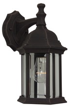  Z294-RT - Hex Style Cast 1 Light Medium Outdoor Wall Lantern in Rust